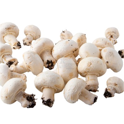 Шампиньоны свежие 500 г - купить в Байраме